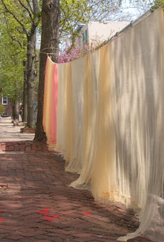Dyed fabric line-drying on street.